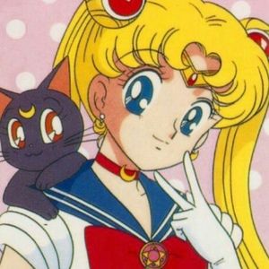 Meet your Posher, Everest